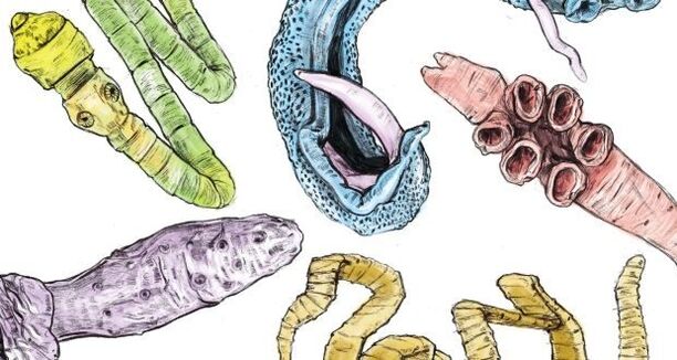 Parásitos en el cuerpo humano