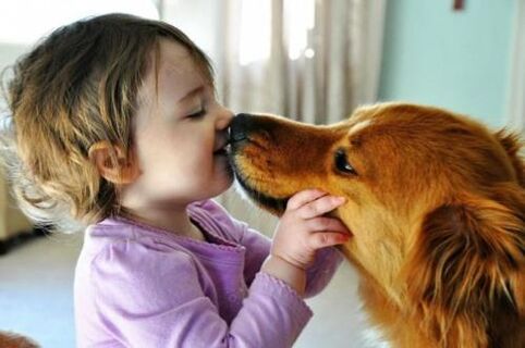 Infección por gusanos de un perro